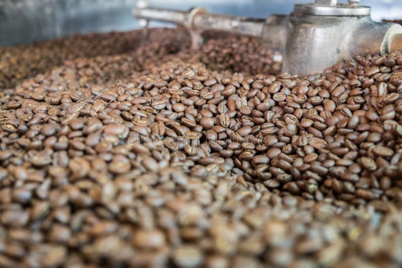 coffee bean light roast coffee bean light roast
