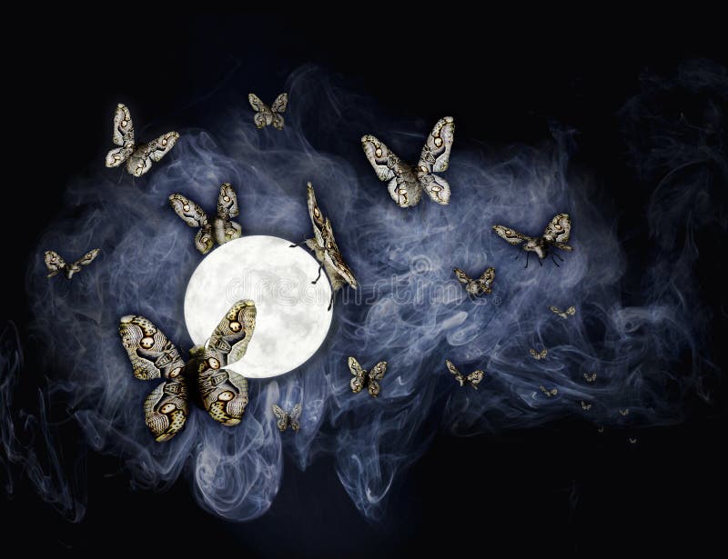 [Image: light-swarm-moths-irresistibly-attracted...030218.jpg]