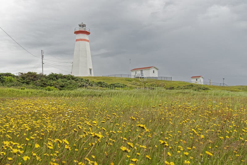 The Light Tower at Cape Ray Stock Photo Image of brick, coastal