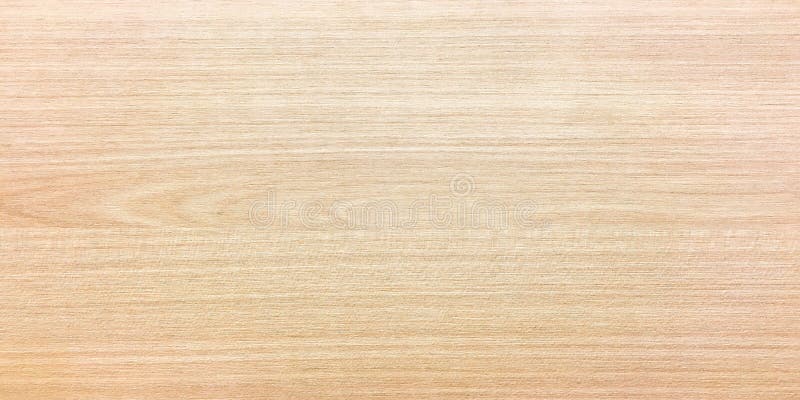 Light wood texture background surface with old natural pattern or old wood texture table top view. Grain surface with wood texture