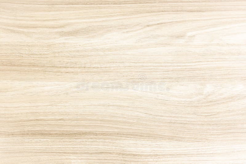 Light wood texture background surface with old natural pattern or old wood texture table top view. Grunge surface with wood textur royalty free stock photography Light wood texture background surface with old natural pattern or old wood texture table top view. Grunge surface with wood textur royalty free stock photography