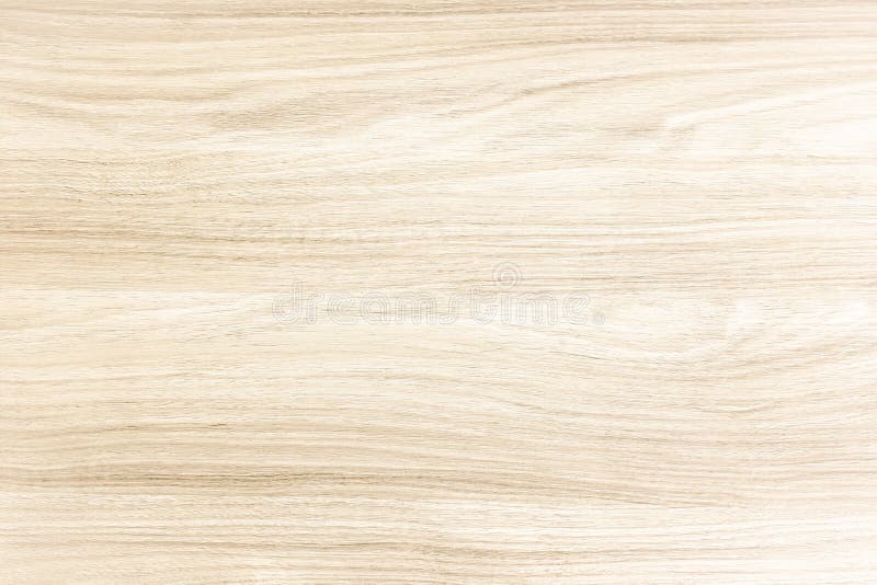 Light wood texture background surface with old natural pattern or old wood texture table top view. Grunge surface with wood textur