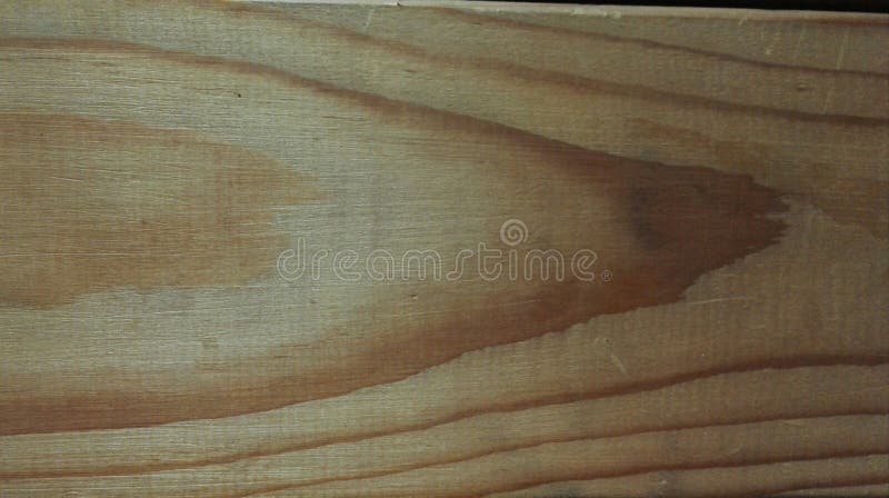 Light Wood Texture Slice Background Image Stock Image Image Of