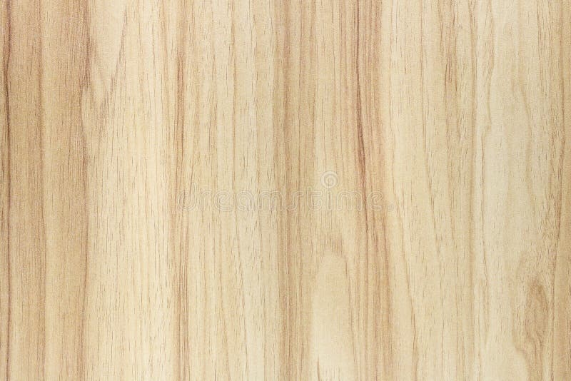 Light wooden texture background. Abstract wood floor. Texture