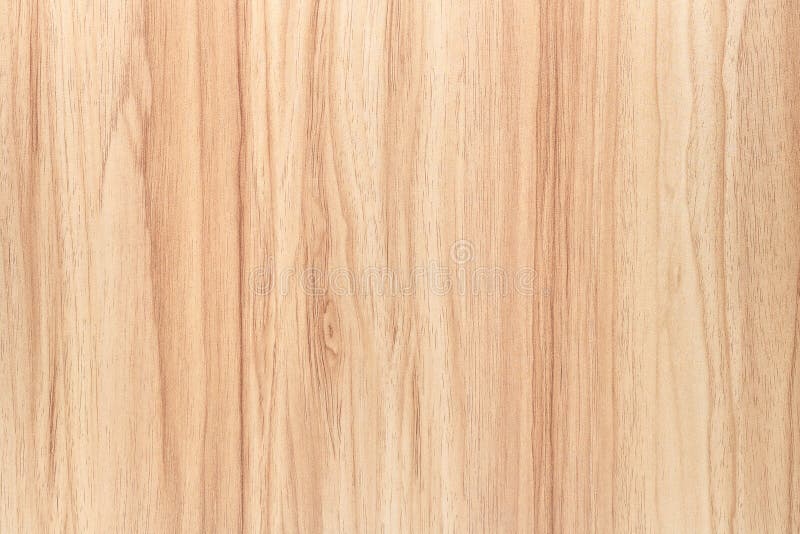 Light wooden texture background. Abstract wood floor