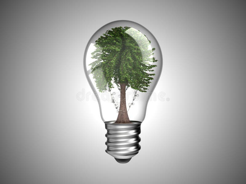 Lightbulb with green tree inside it royalty free illustration Lightbulb with green tree inside it royalty free illustration