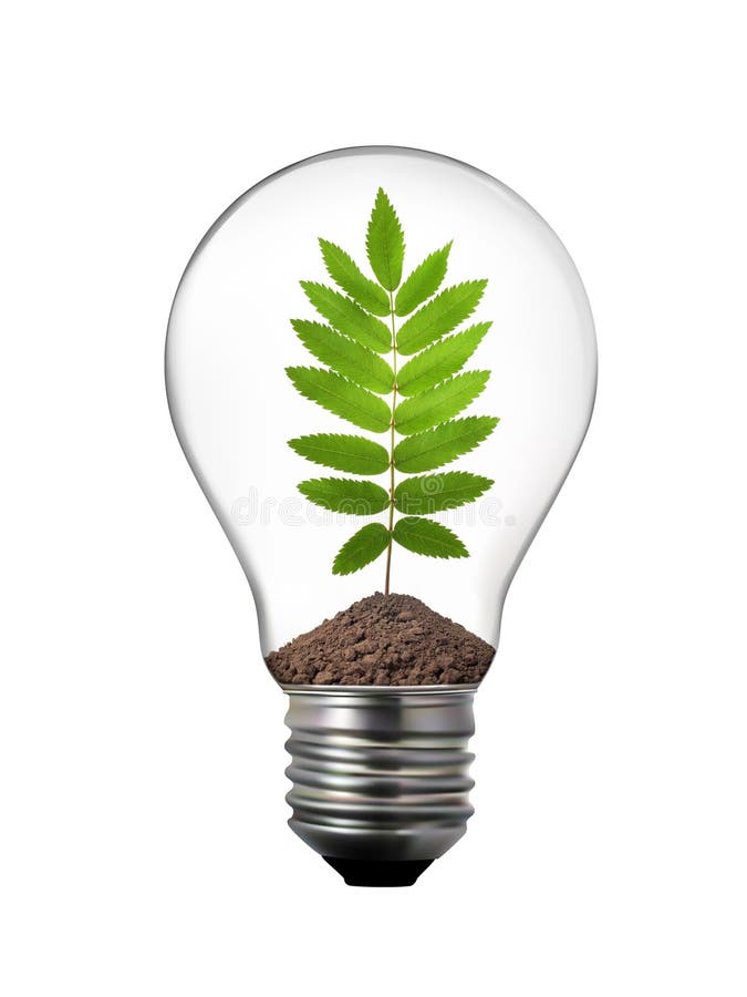 4,479 Ecological Lightbulb Stock Photos Free & RoyaltyFree Stock