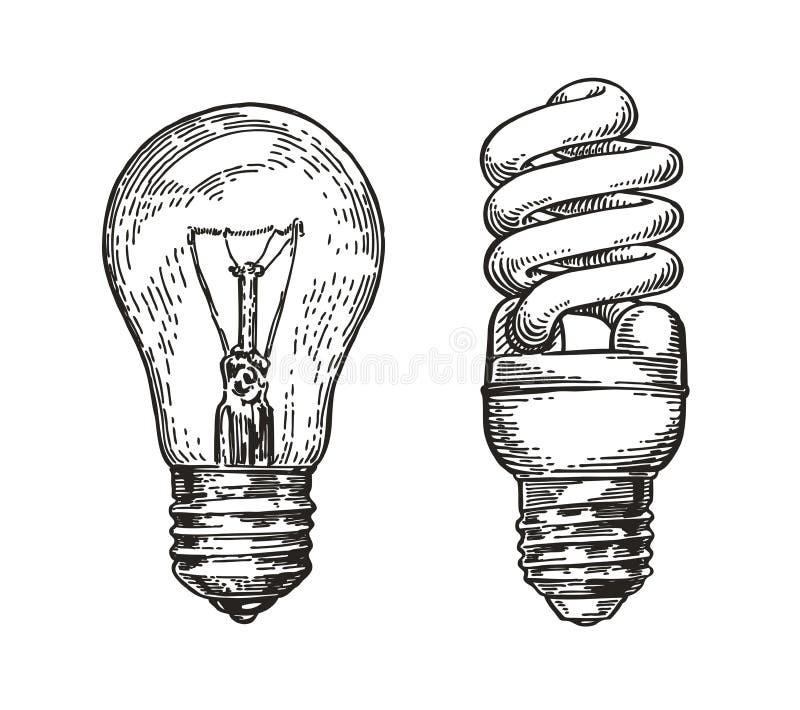 4 type lamp - bulb halogen cfl led | Light bulb drawing, Lamp bulb, Bulb