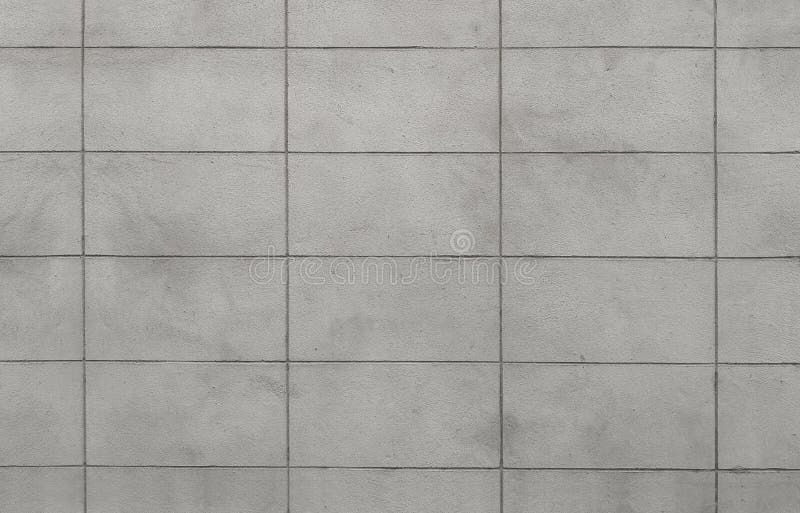 The Lighter Grey Color of Rough Texture Concrete Wall Skin with Grid