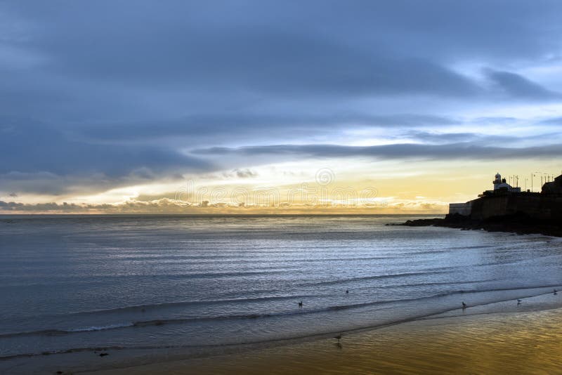 Lighthouse and birds on beach