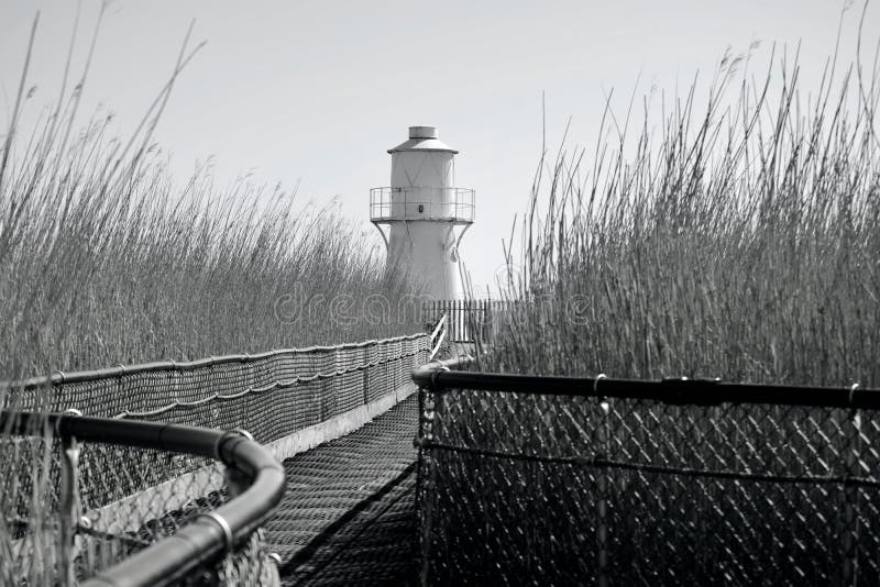 newport wetlands reserve