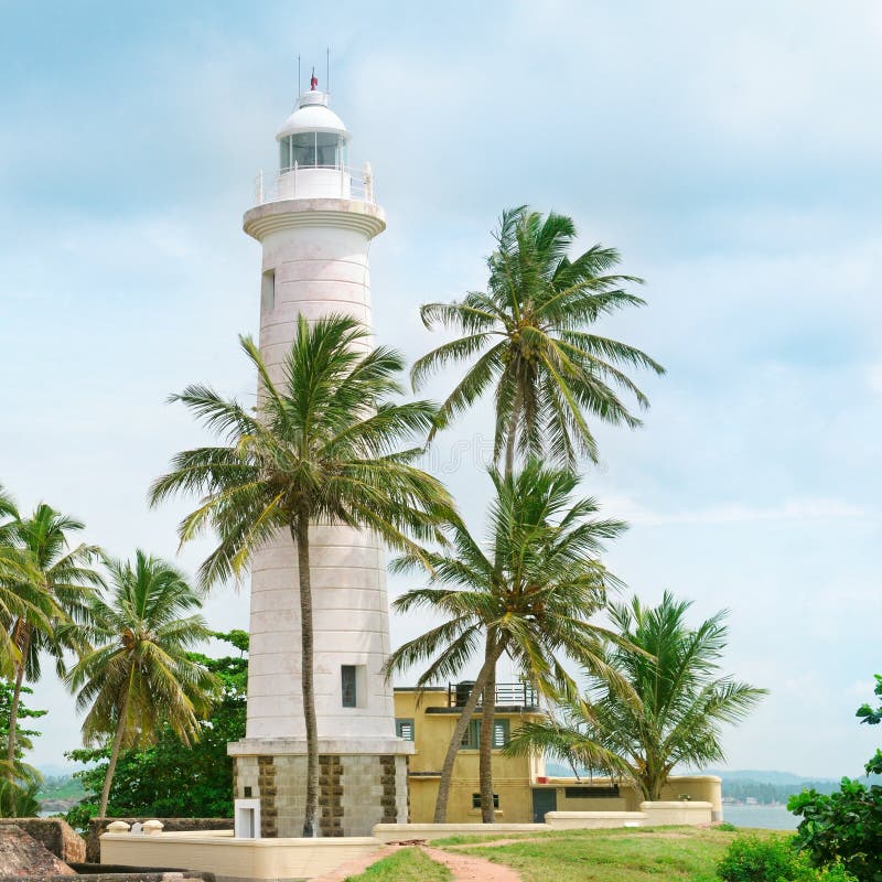 Lighthouse and palm trees