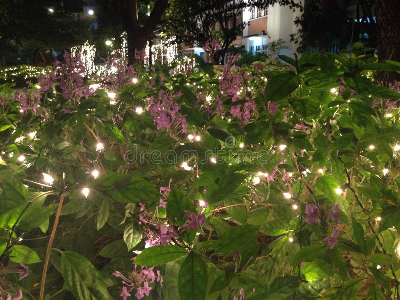 Lighting in the garden