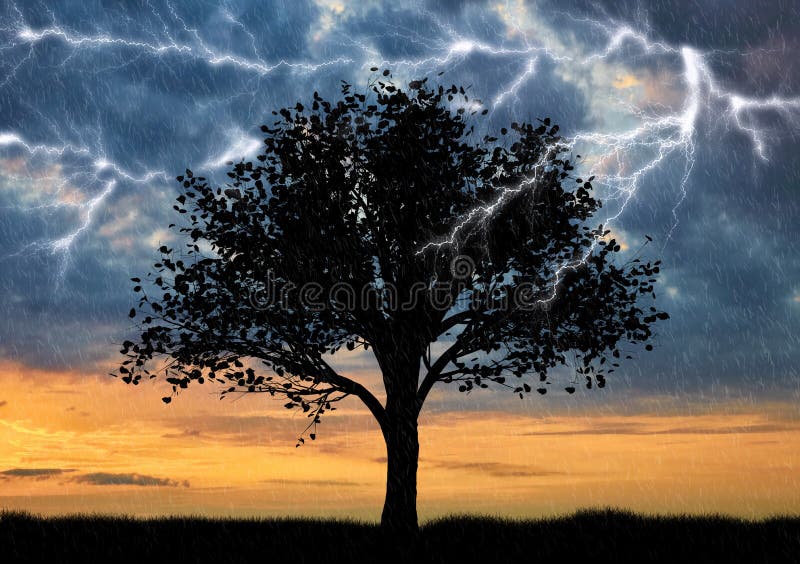 Lightning falls in a lonely tree