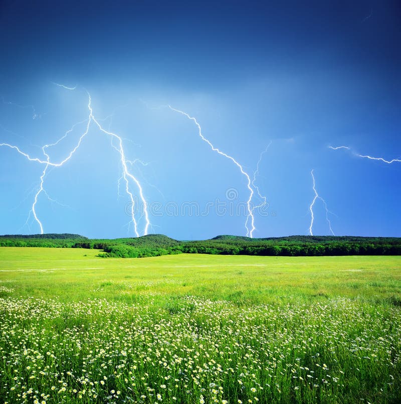Lightning in meadow stock photo