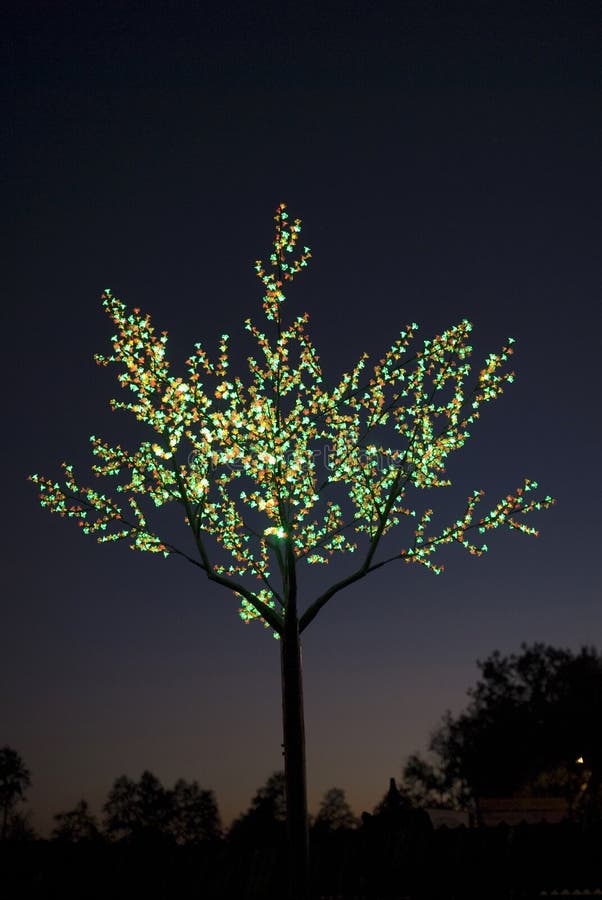 Lights tree