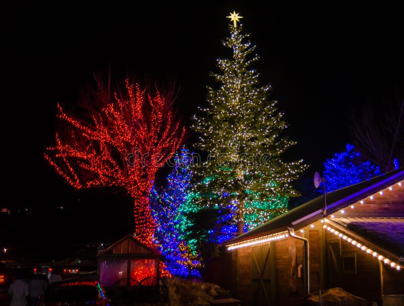 Lights on Trees at Park City. Utah Editorial Stock Photo Image of