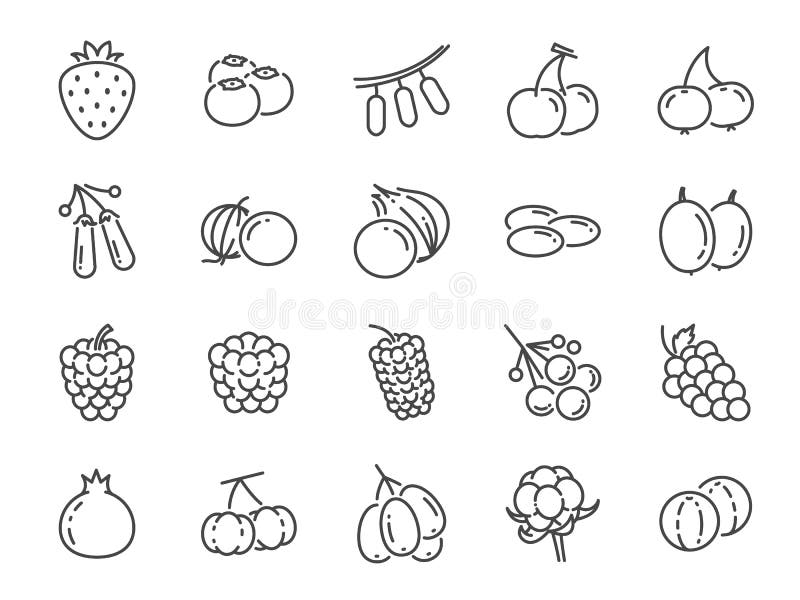 Ligne sauvage ensemble de baie d'icône A inclus les icônes comme myrtille, canneberge, framboise, fraise, cerise et plus illustration libre de droits Ligne sauvage ensemble de baie d'icône A inclus les icônes comme myrtille, canneberge, framboise, fraise, cerise et plus illustration libre de droits