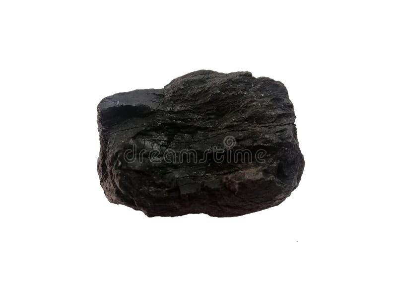 sedimentary rocks coal