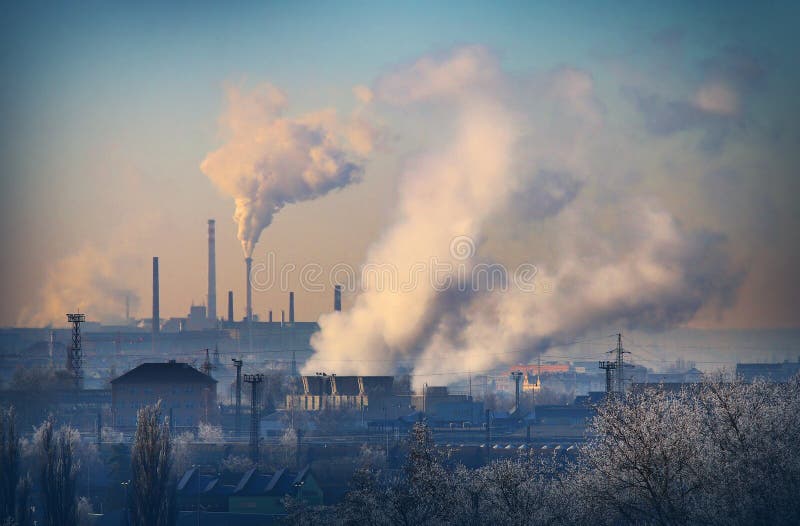 Lignite combined heat and power plant plant