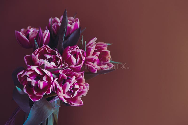 Lilac beautiful tulips flowers on brown background. Bouquet on Easter card. Copy space stock photos Lilac beautiful tulips flowers on brown background. Bouquet on Easter card. Copy space stock photos