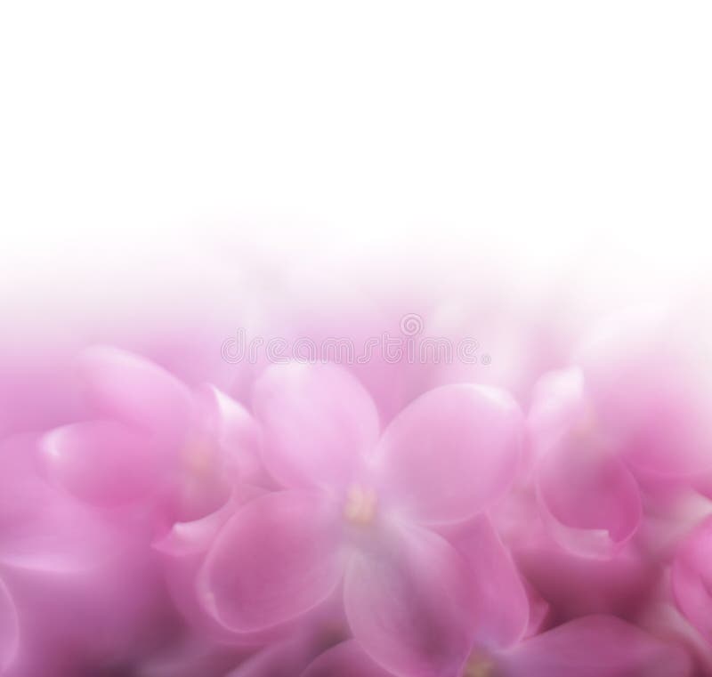 Lilac bloemachtergrond LENSBABY zachte nadruk len