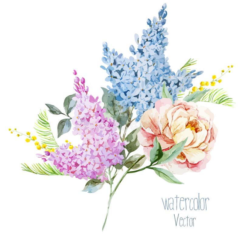 Lilac boeket vector illustratie Lilac boeket vector illustratie