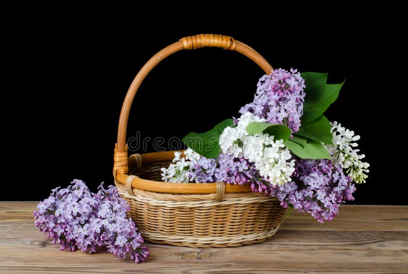 Lilac bouquet in a wattled basket