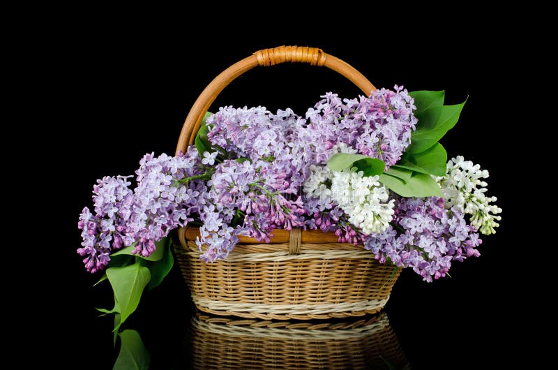 Lilac bouquet in a wattled basket