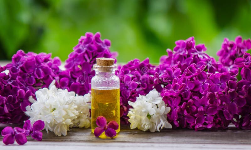 Lilac Essential Oil or Infusion Bottle. Blossom Lilac Drink or Extract  Stock Image - Image of food, care: 220400465