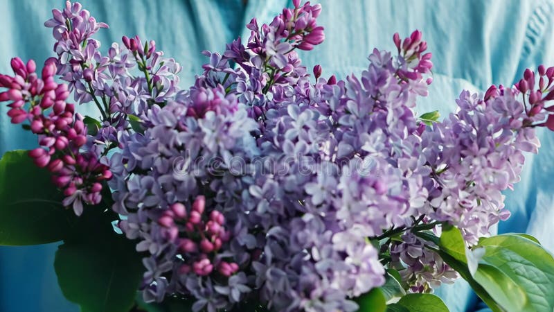 Lilac fleurit un homme portant une chemise bleu clair décontractée avec une photo illustration libre de droits