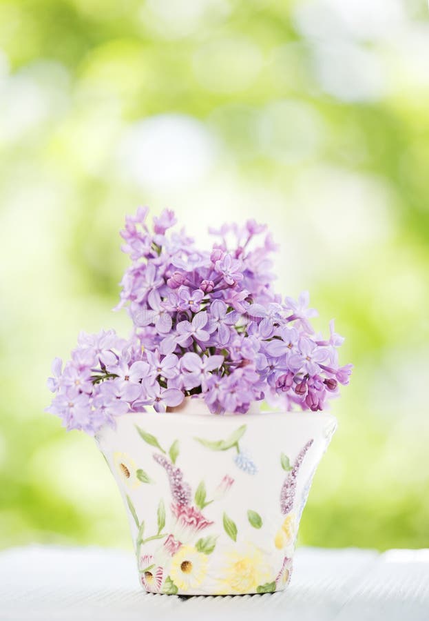 Lilac flower royalty free stock photography