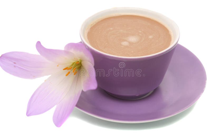 The lilac flower and cup from coffee are isolated