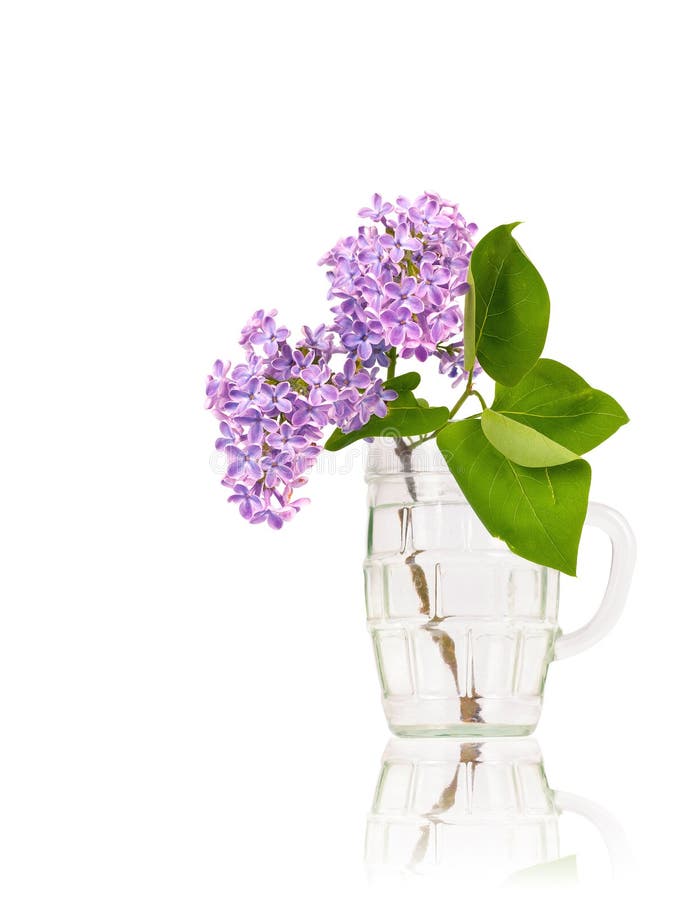 Lilac flowers in glass