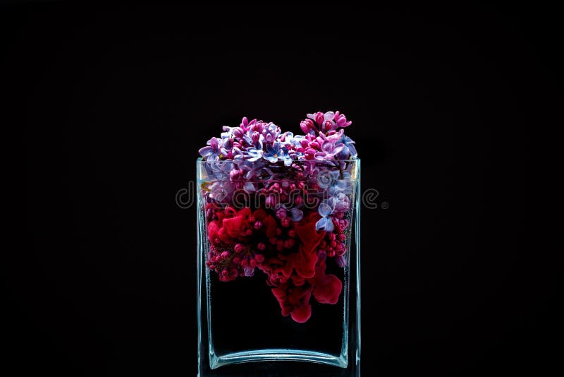 Picturesue lilac flowers and colorful ink swirling in water in a glass vase on a black background. Picturesue lilac flowers and colorful ink swirling in water in a glass vase on a black background