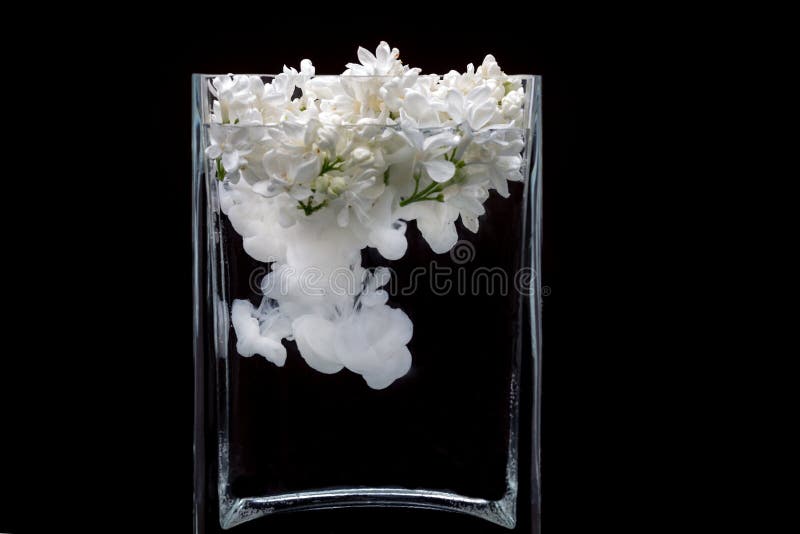 Picturesue lilac flowers and colorful ink swirling in water in a glass vase on a black background. Picturesue lilac flowers and colorful ink swirling in water in a glass vase on a black background