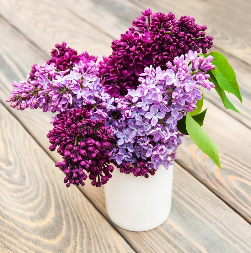 Lilac flowers