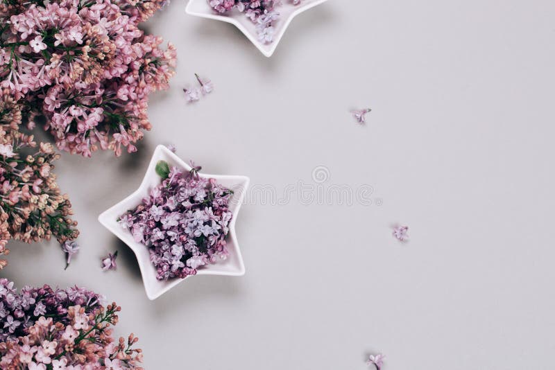 Lilac on grey background, flat lay.