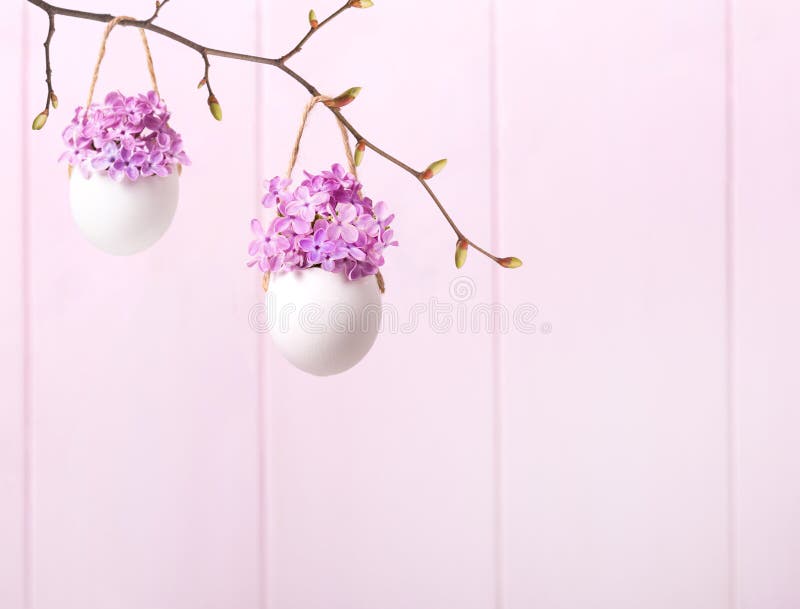 Lilac Kwiaty Strzykawka w skorupkach na jasnoróżowym tle. Wystrój wielkanocny zdjęcie stock