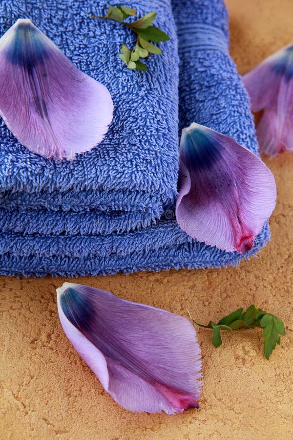 Lilac Purple Towels and Flower Petals Stock Image Image of