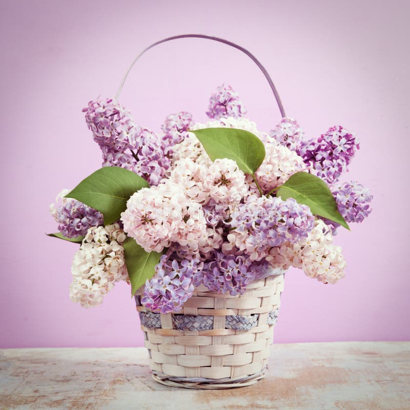 Lilac in vase. Vintage retro hipster style version