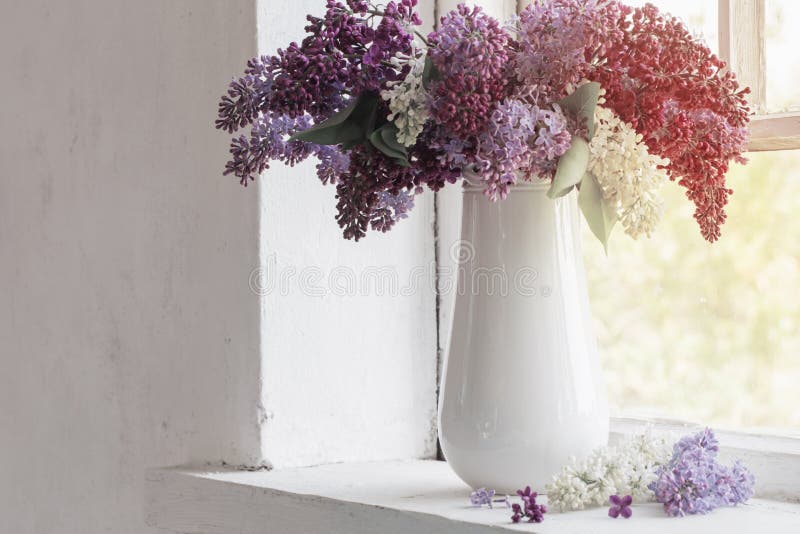 Lilac in vase on windowsill