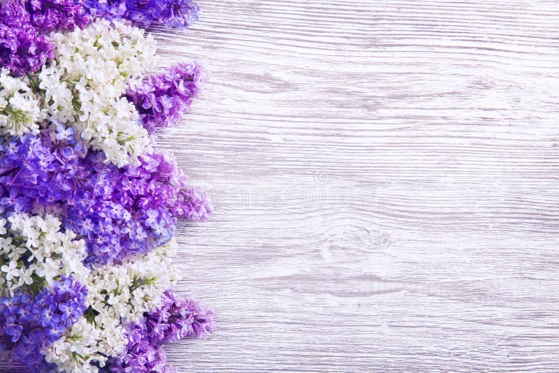 Lilan blommar buketten på träplankabakgrund, purpurfärgat trä royaltyfri bild Lilan blommar buketten på träplankabakgrund, purpurfärgat trä royaltyfri bild
