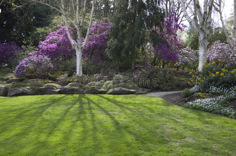 Beautiful lawn with purple flower trees and rocks. Great designs!! Van Dusen Botanical Gardens, Vancouver BC, Canada. Beautiful lawn with purple flower trees and rocks. Great designs!! Van Dusen Botanical Gardens, Vancouver BC, Canada.