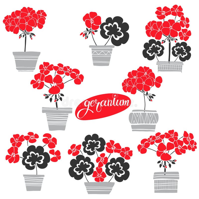Lilie des Tales Vektorillustration, lokalisierte Florenelemente für Design Einfarbige Illustration des Schattenbildes auf Weiß lizenzfreie abbildung Lilie des Tales Vektorillustration, lokalisierte Florenelemente für Design Einfarbige Illustration des Schattenbildes auf Weiß lizenzfreie abbildung