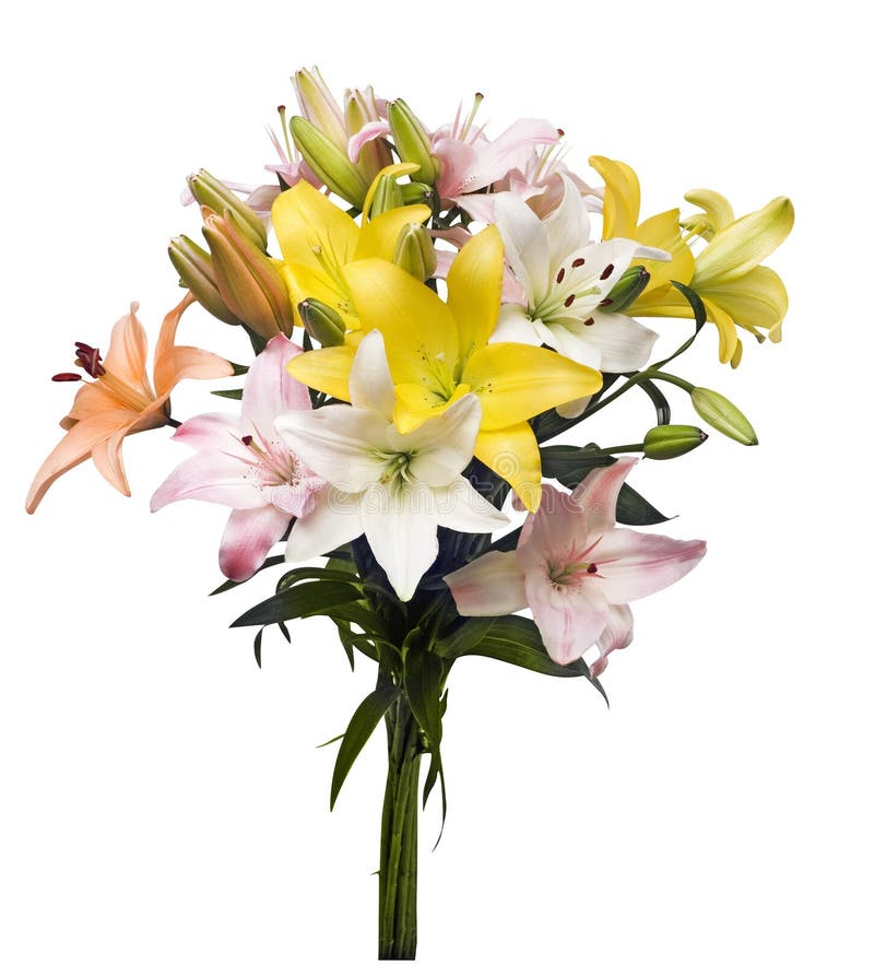 Lilies bouquet royalty free stock images