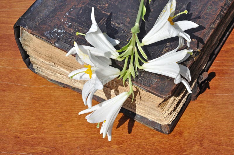 Lilies on old book stock image. Image of nectar, book 25592421