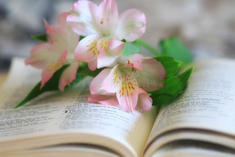 Lilies on the pages of an open bible