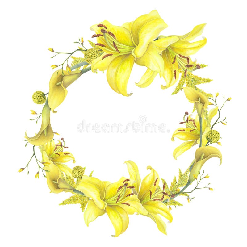 White Lily & Solidago White Lily & Solidago