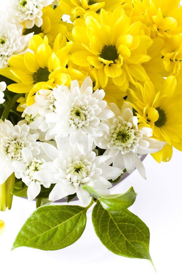 Lilium and carnation floral bouquet